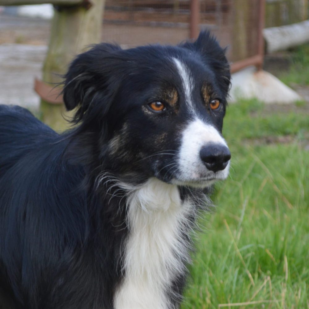 59e6e61c-b4fb-47ca-83b6-16876b3d9c06